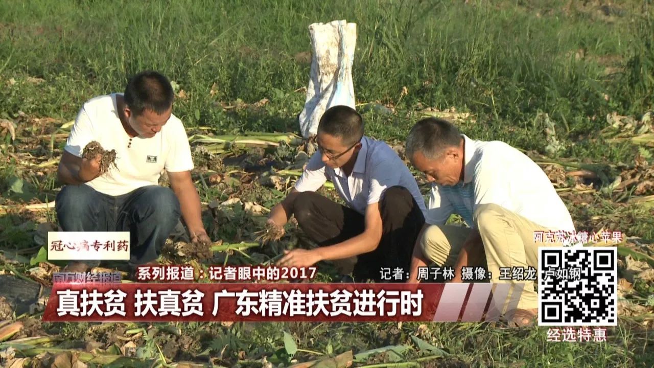 广东省扶贫监测，精准施策，成效显著