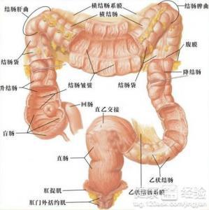 结肠术后一个月饮食指南