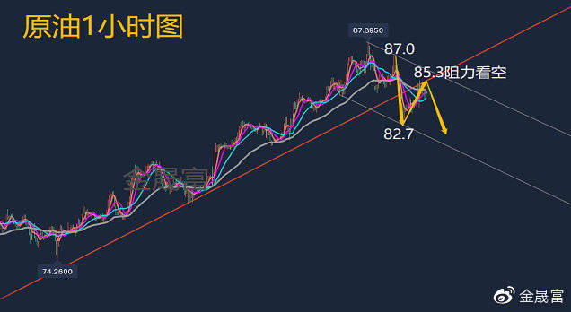 解析澳门精准跑狗图，富强理念下的落实与展望